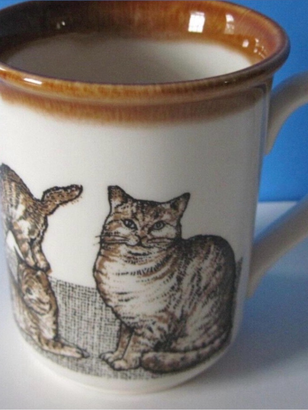 Vintage Biltons England Stoneware Tabby Cat-Print